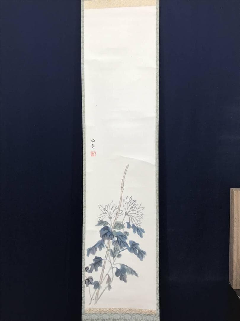 【真作】石井柏亭/菊図/花図/菊花図/掛軸/名家伝来/AC-436