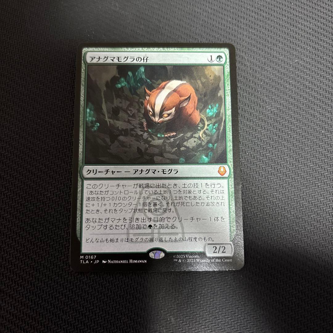 MTG アナグマモグラの仔 日本語1枚 MTG アナグマモグラの仔 日本語版 1枚 アナグマモグラの仔 [TLA_BF
