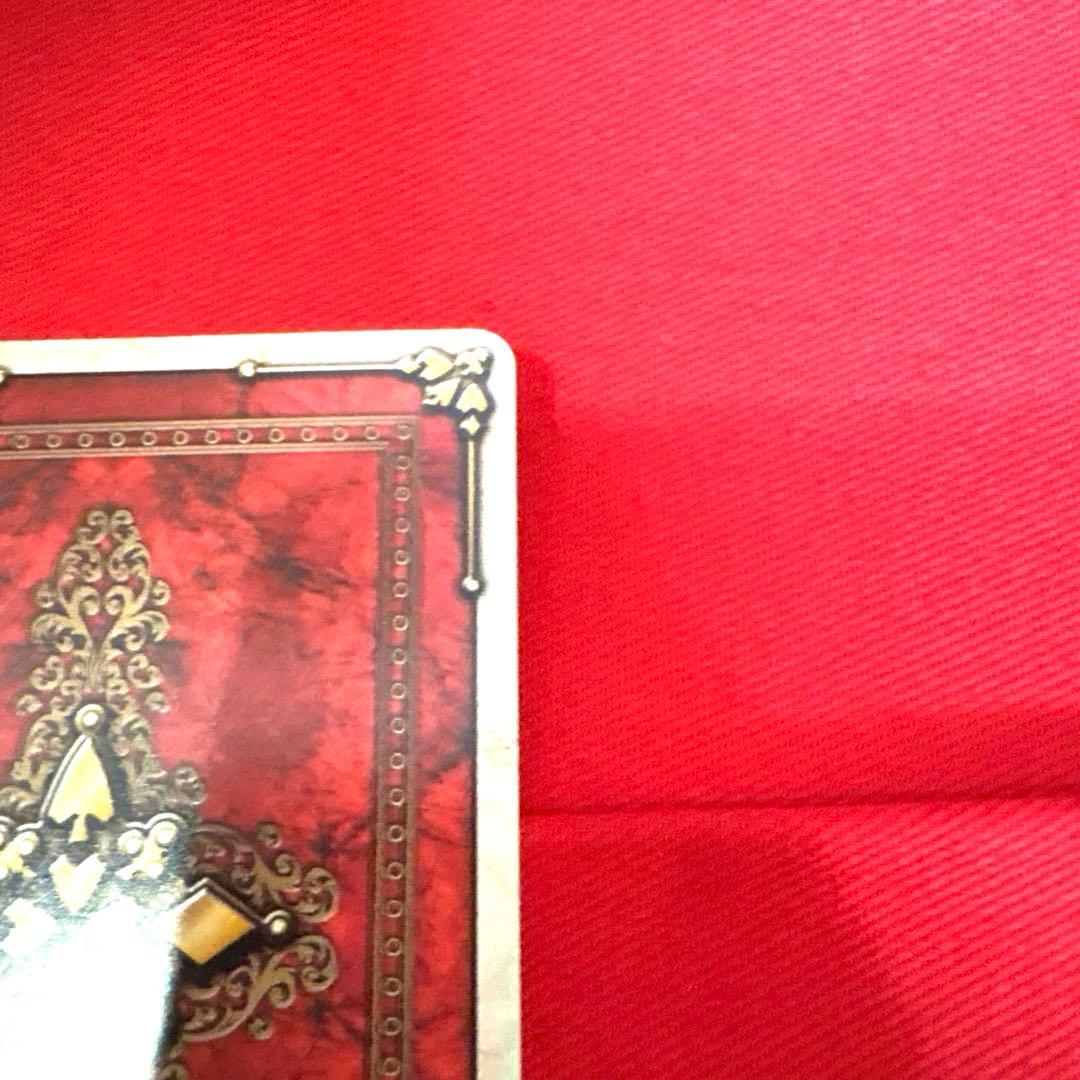 ラウズカード アブソーブオーキッド 仮面ライダー剣 カリス トレカ