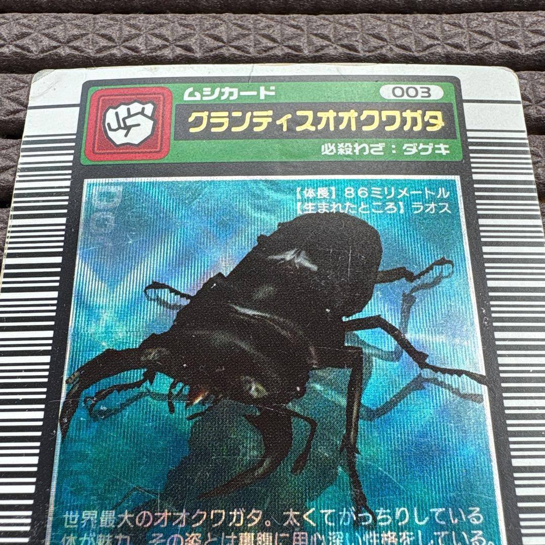 ムシキング グランディスオオクワガタ 2003SPRING 春 青キラ 学名白