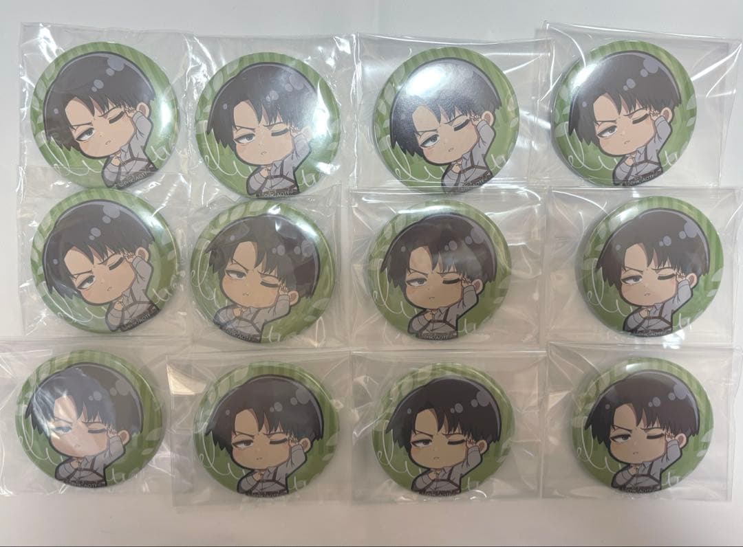 【匿名配送】進撃の巨人リヴァイひなたぼっこver.