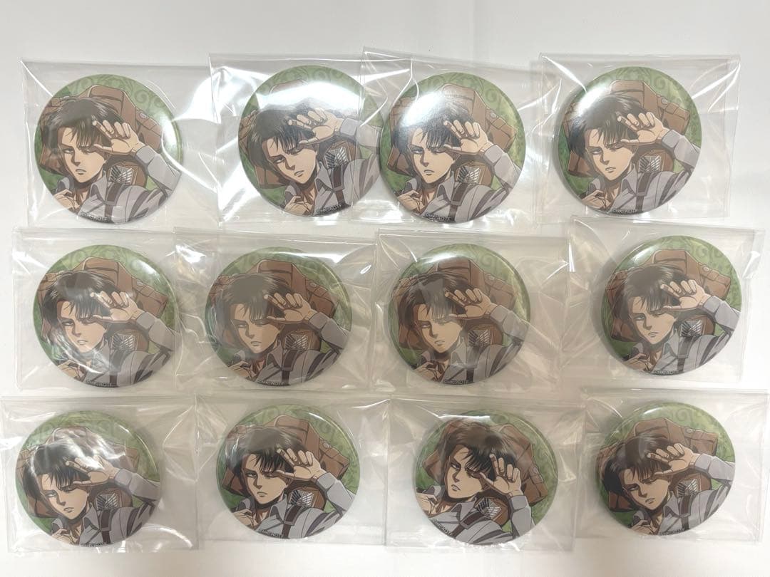 【匿名配送】進撃の巨人リヴァイひなたぼっこver.