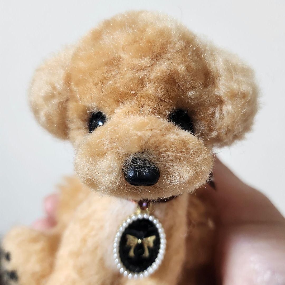 お迎え決まりました]トイプードル♡ミニ❤️ハンドメイド❤️羊毛フェルト
