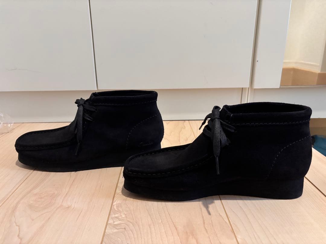 クラークスワラビー