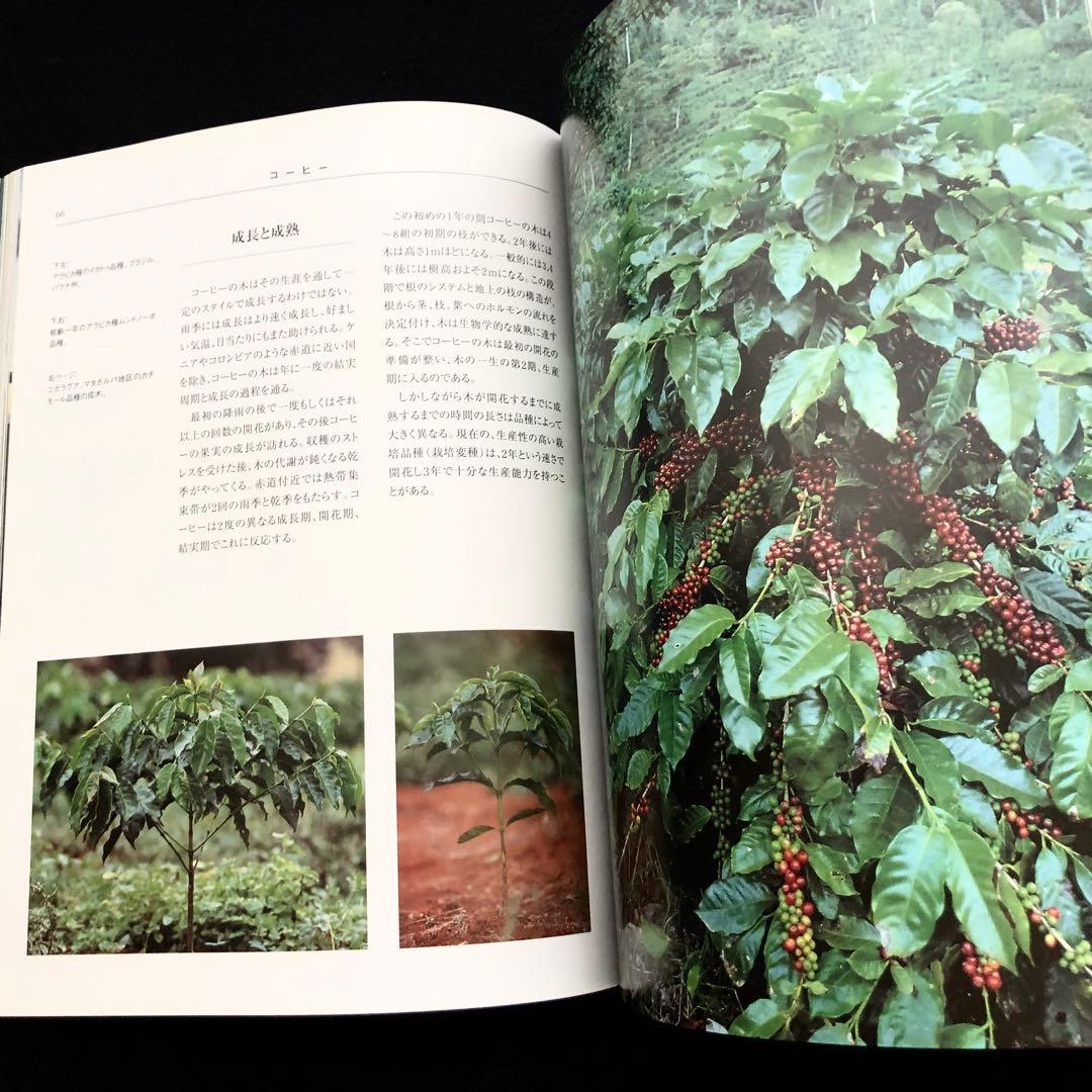 コーヒー専門書「Coffee : 多様性の祝祭」日本スペシャリティコーヒー