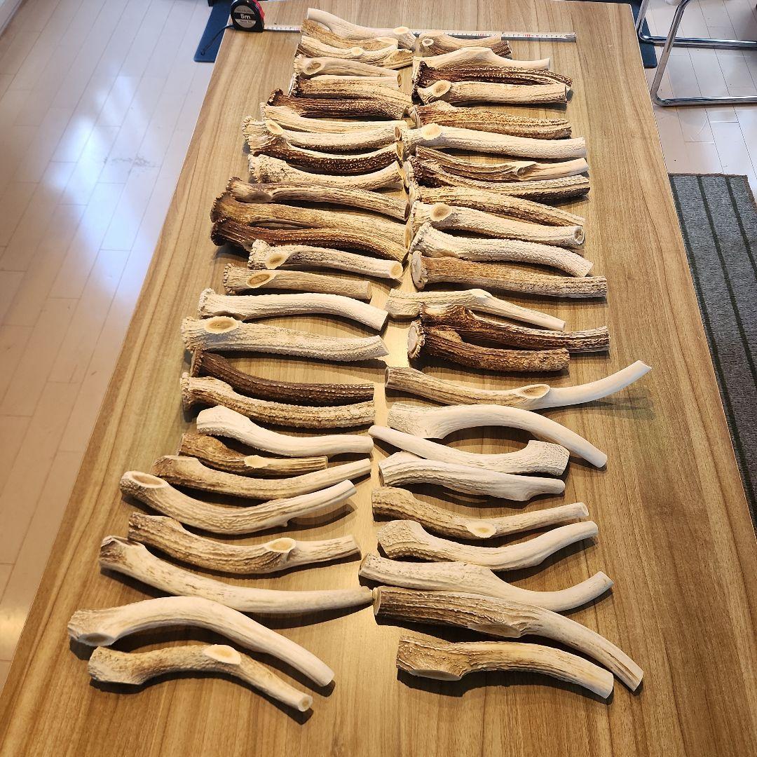 ぶち様専用 鹿の角 (特大～大サイズ)犬用おもちゃ ランダム 2kg 8本