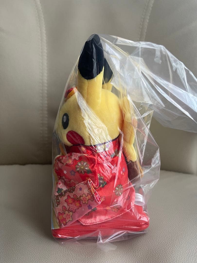 ポケモン　マンスリーペアピカチュウ3月