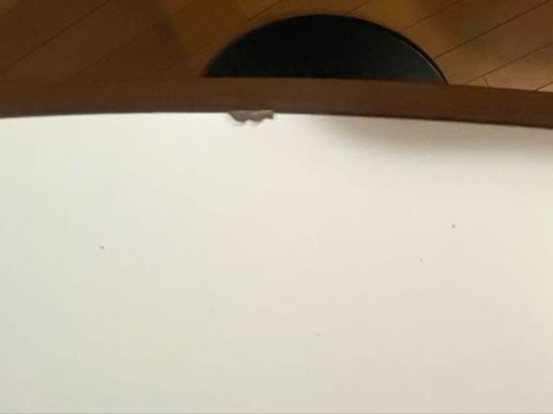 【レザーフォーム製】イサム・ノグチ サイクロンテーブルφ1070mm ダイニング