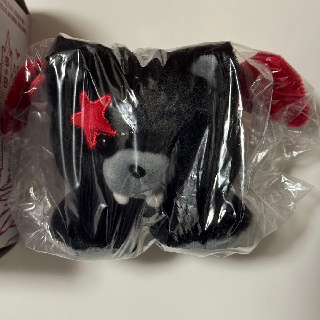 ENHYPEN VANISH ボイスキーリング ヒスン - メルカリ