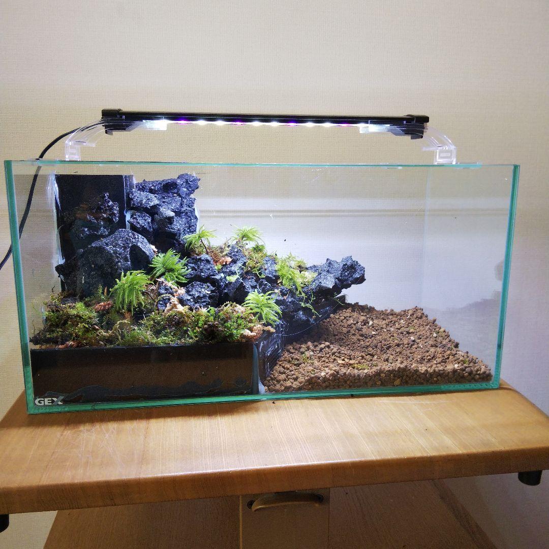 オーダーメイド】滝のあるアクアテラリウム 苔テラリウム アクアリウム