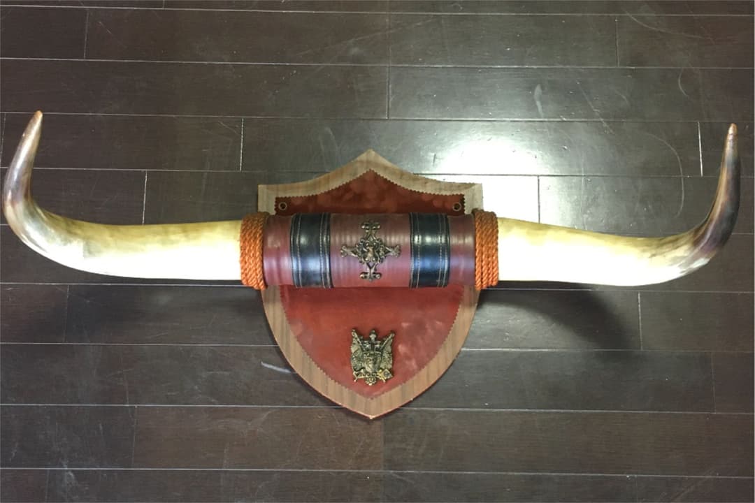 狩猟トロフィー 壁掛け 木製盾 牛の角