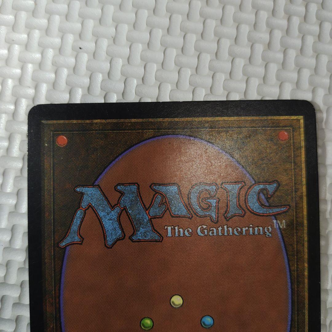 適者生存 日本語版適者生存Survival of the Fittest 日本語版