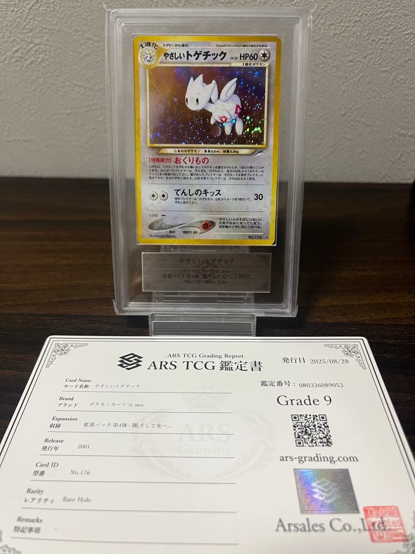 【旧裏】やさしいトゲチック ARS9【美品】