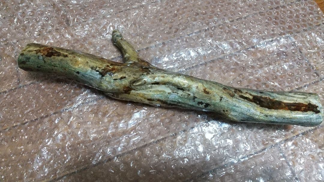 【弥生 6/5】深海松　レインボーコーラル　虹色珊瑚【大 650g】原木