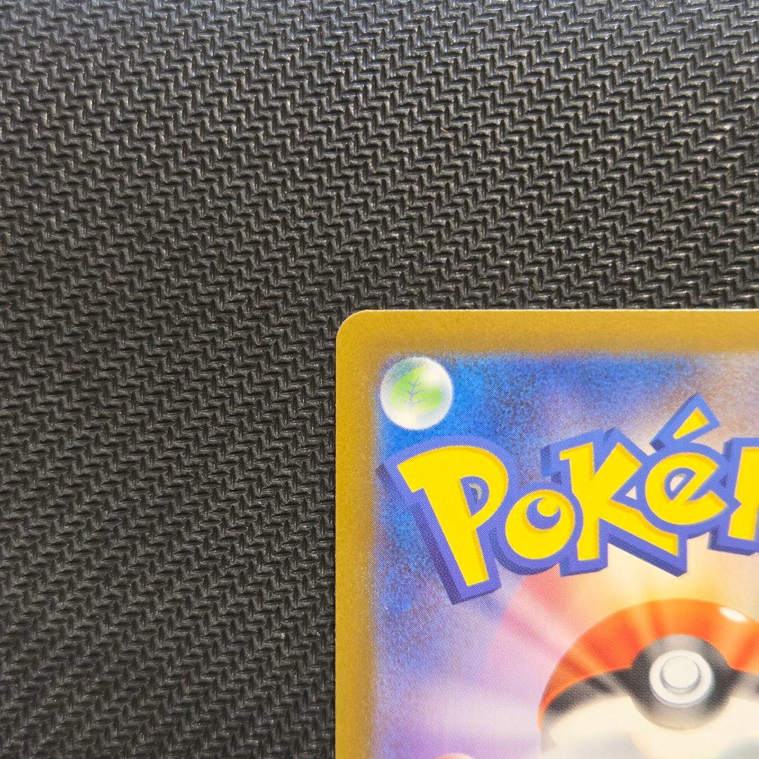 【即日発送】メガリザードンXex 110/080 SAR