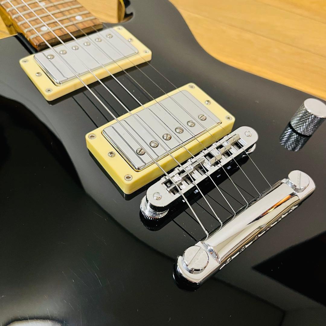 Fernandes フェルナンデスAPG-60 送料込み