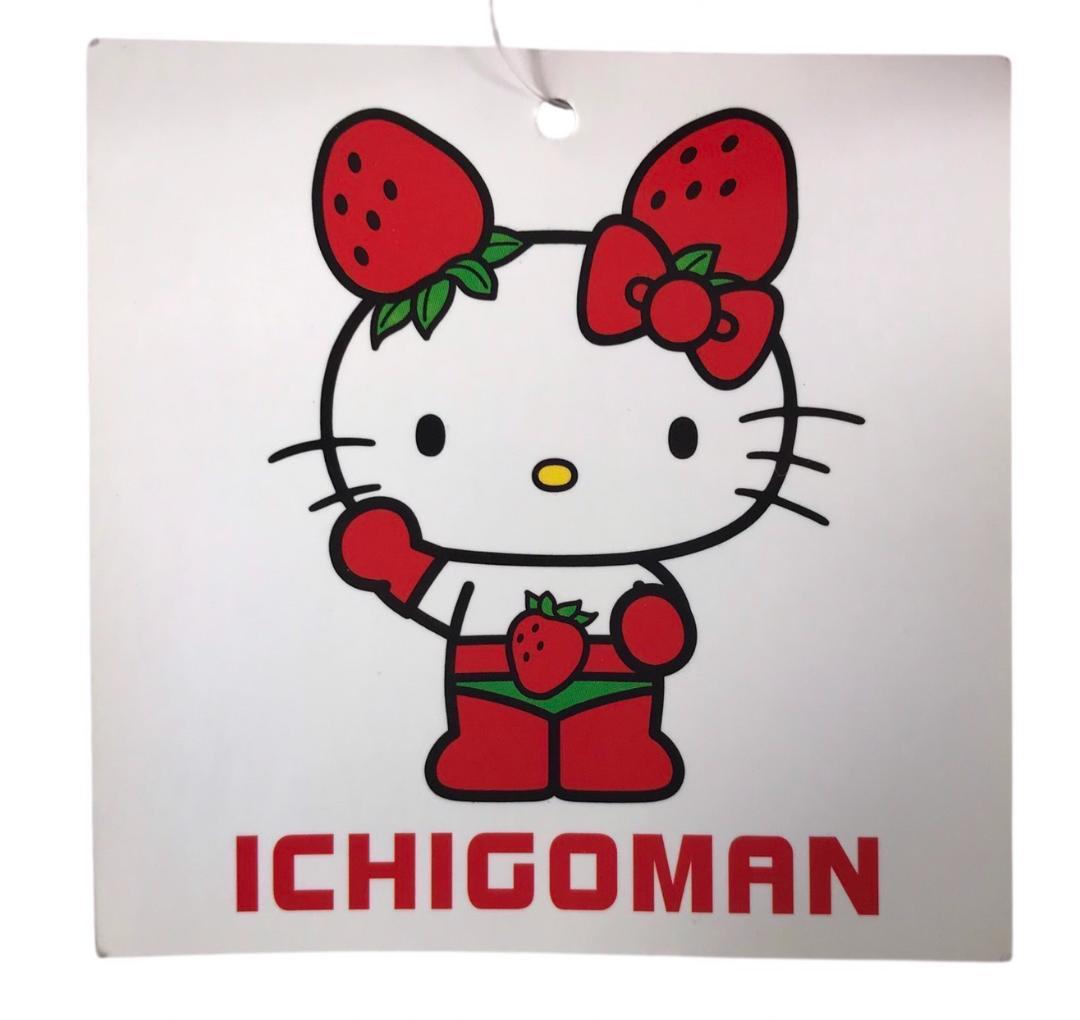 ★良品★ サンリオ ハローキティ イチゴマン ぬいぐるみ(タグ付き) 約24cm