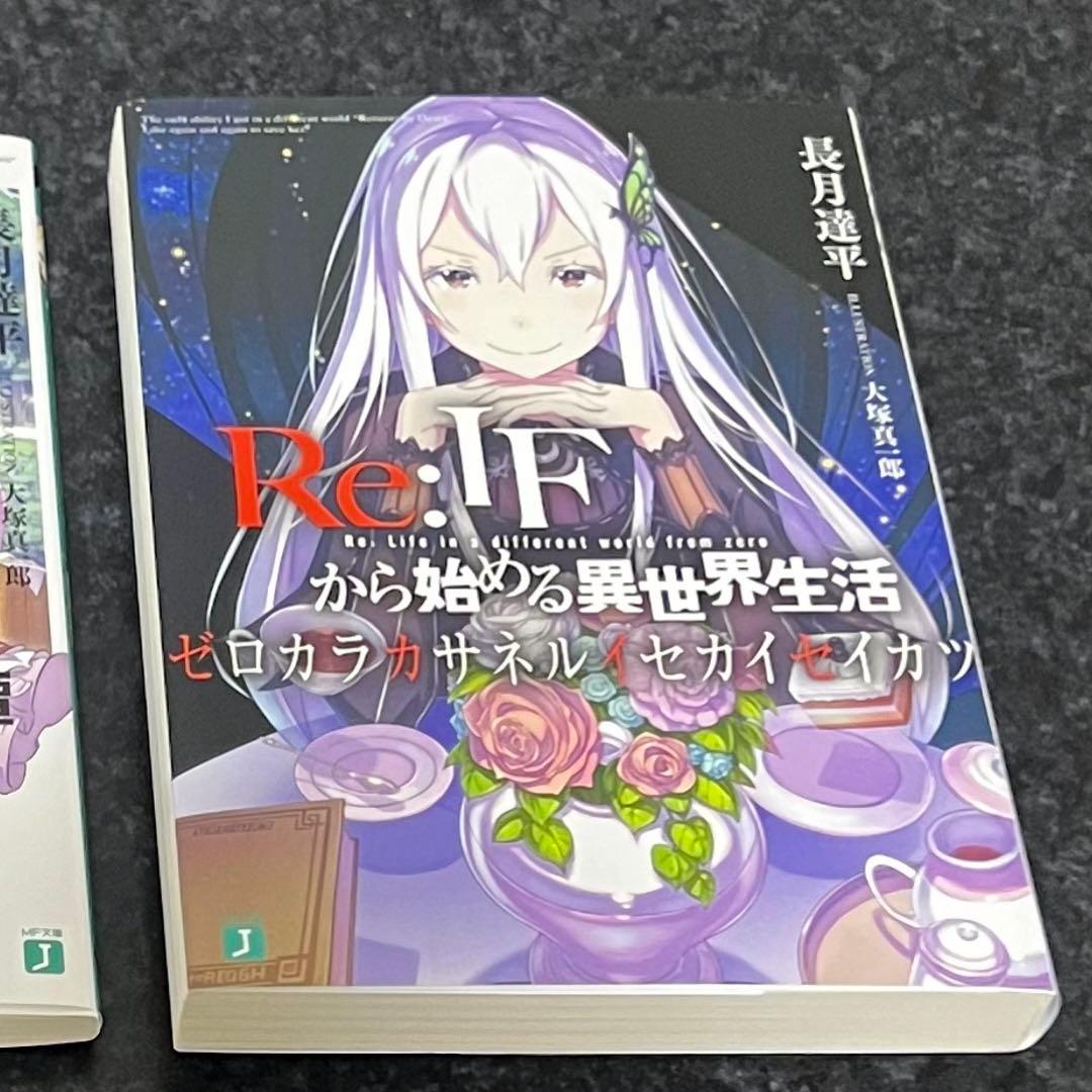 マー様専用 Re:IFから始める異世界生活 ゼロカラカサネルイセカイセイカツ