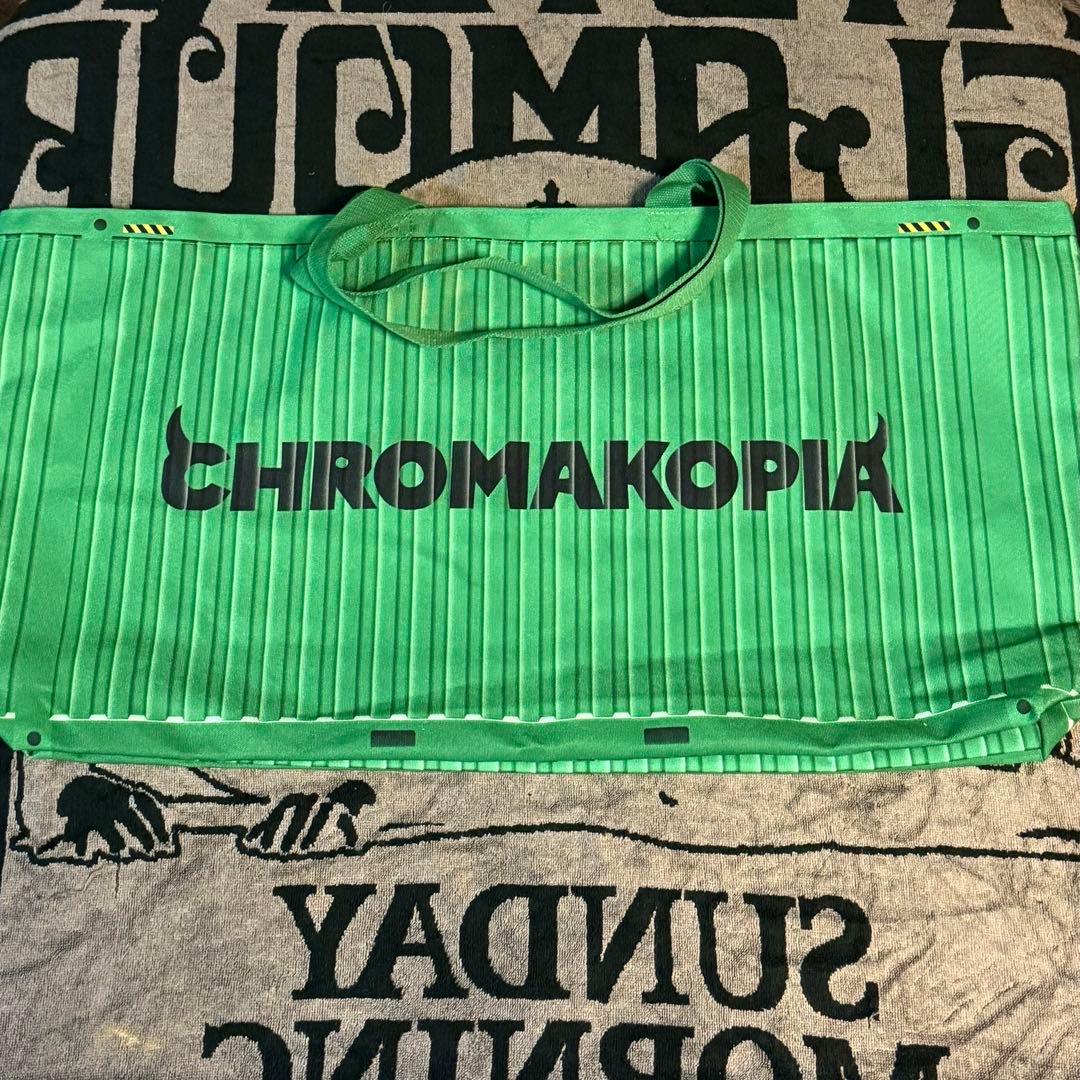 Tyler The Creator ワールドツアー日本公演VIP特典バッグ