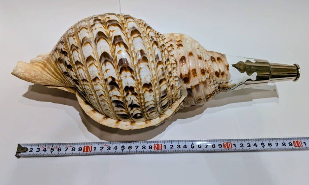 法螺貝　40.1cm 貝袋付き1339g 46000円　山伏　修験