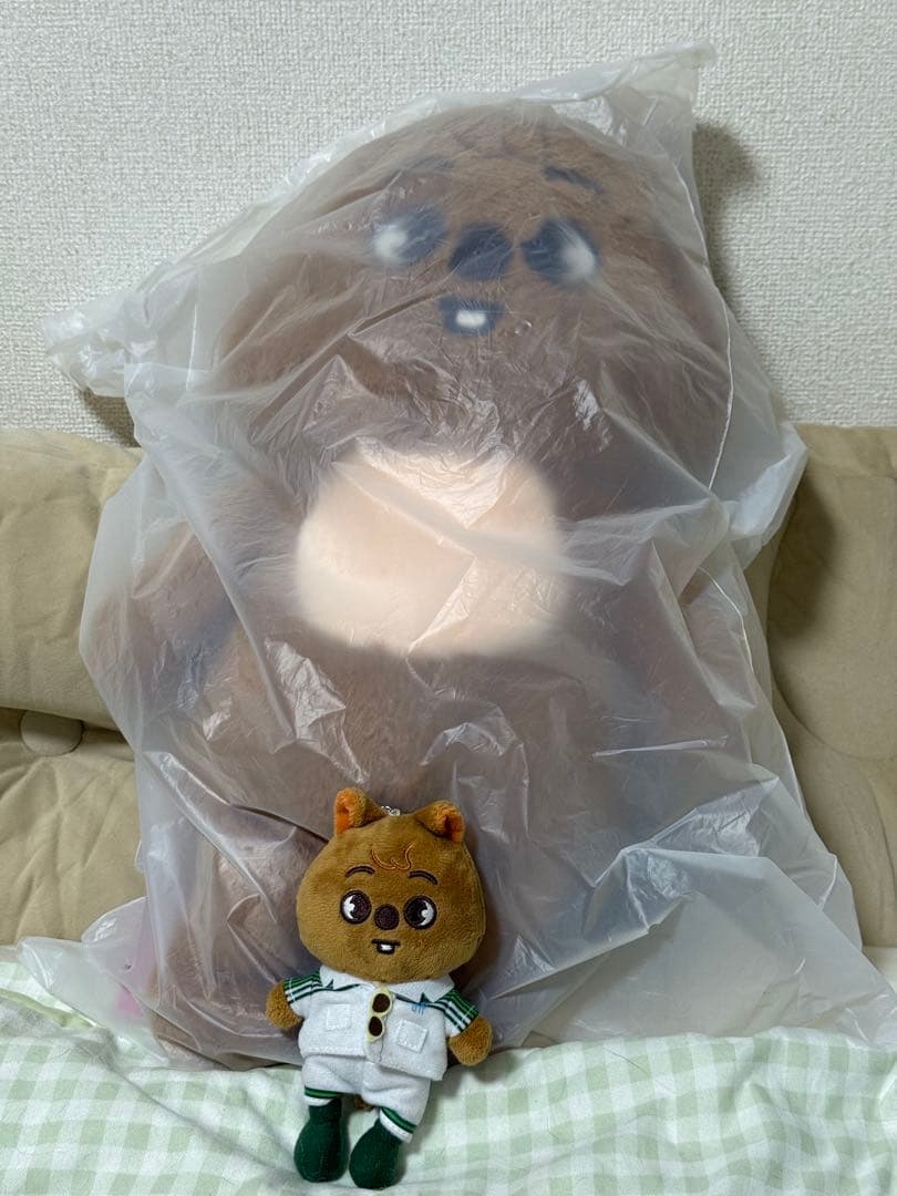 kkc様Stray Kids テディベア　ハンクオッカ Stray Kids テディベア ハンクオッカ kkc様Stray Kids テディベア