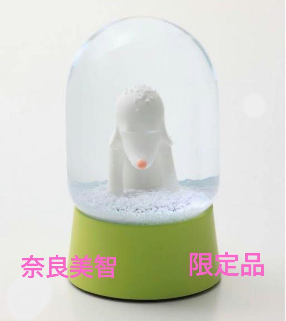 Goniocidaris spinosa ウニ 標本