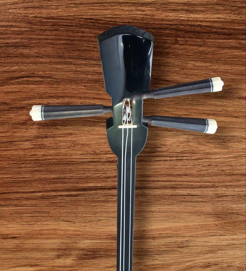 ヘビ皮三線 専用ケース付き 沖縄