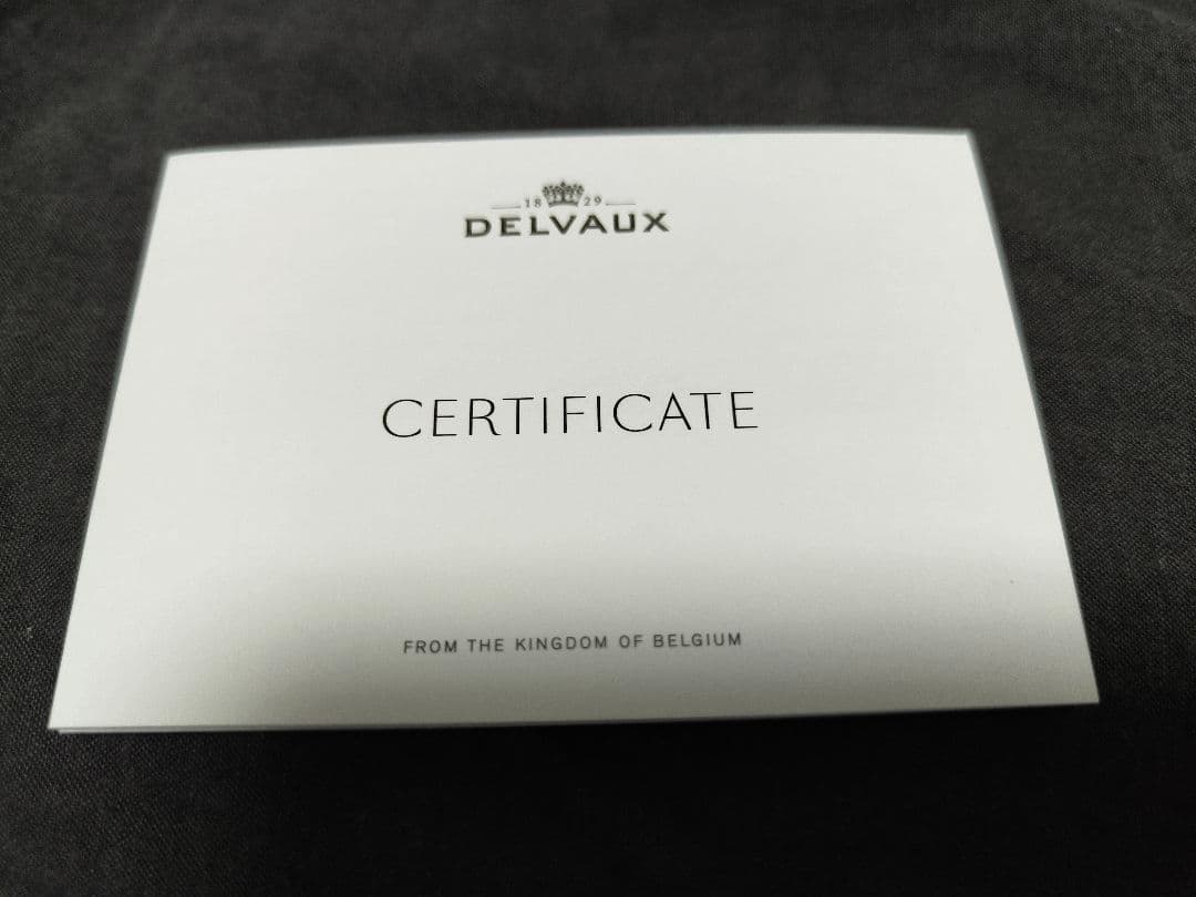 DELVAUX •カードケース Pin D Multifonctions