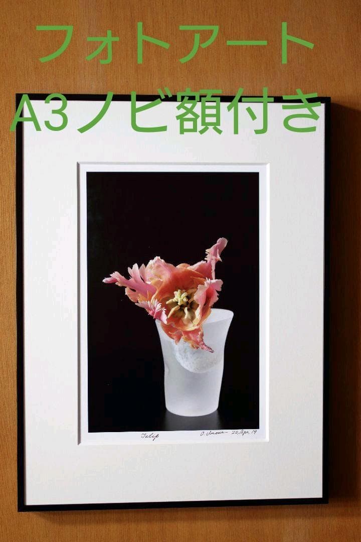 A3ノビ額付き】井上治OsamuInoue フォトアート 『Tulip』