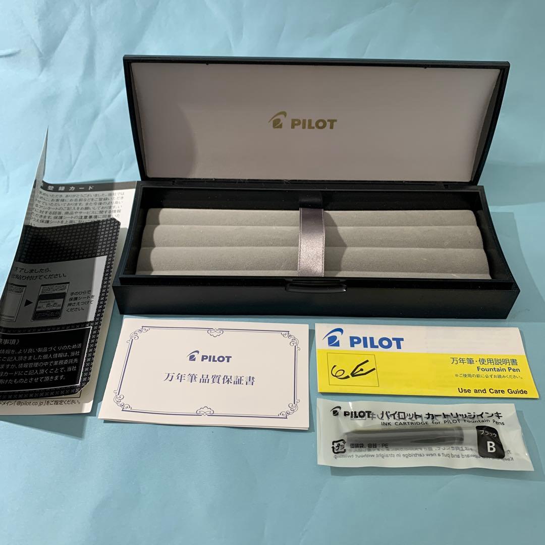 PILOT 万年筆 エラボー 極細字軟SEF FE-25SR-BSEF