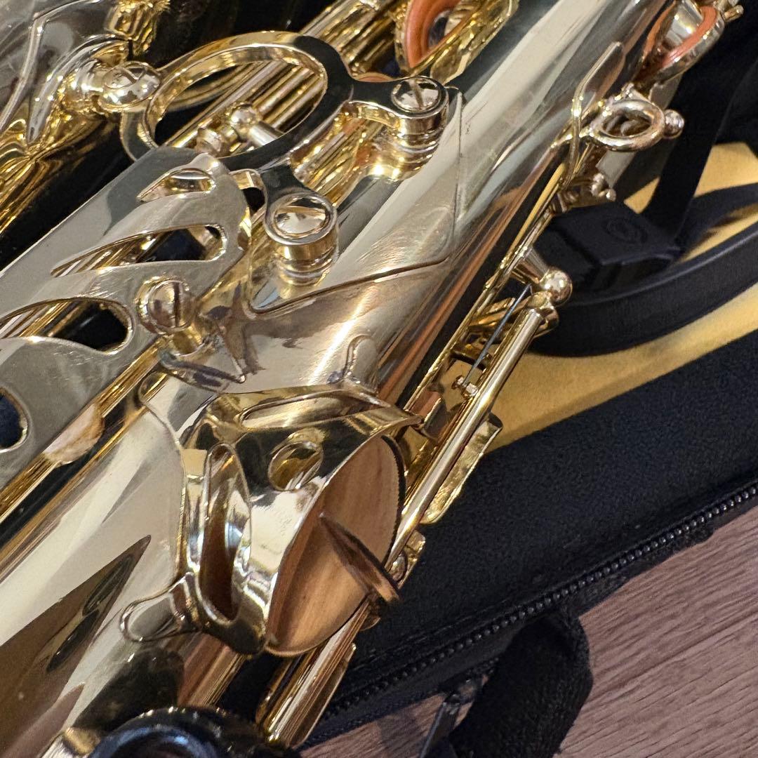 SELMER AXOS セルマー アクソス 美品 アルトサックス 純正ケース付