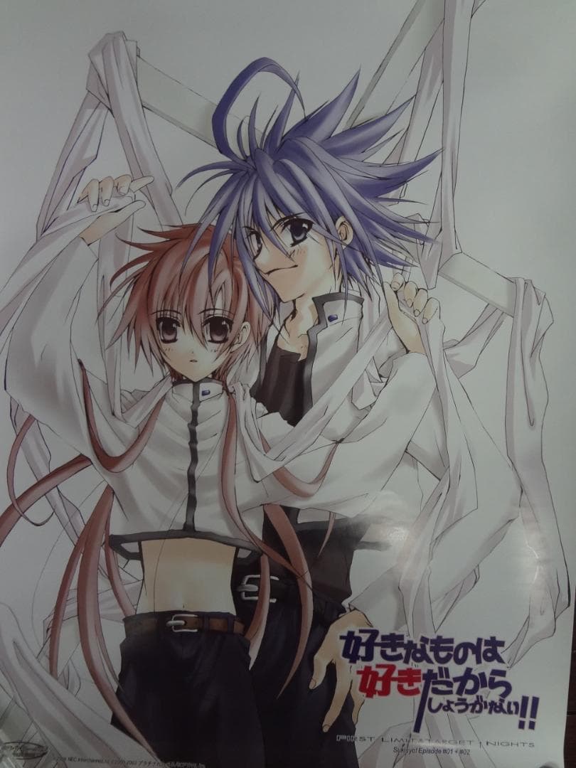 コウペンちゃん展 アートフレーム (一緒に帰ろう) 直筆サイン 箱付き