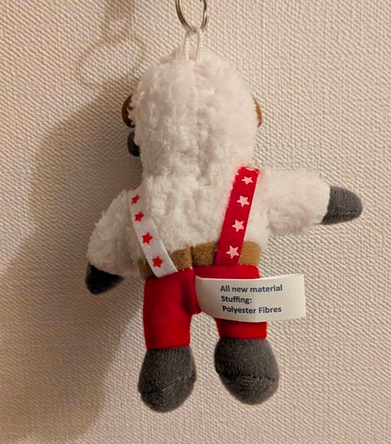 Wolli ウォーリー スイス BTS JUNG KOOK イゲマジャ【残1】