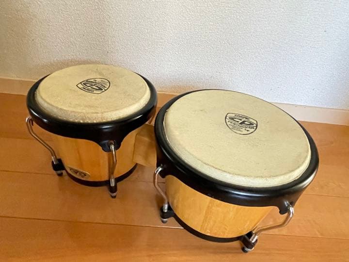 Musetti カフェポッド 2024 (44mm)150 cialde