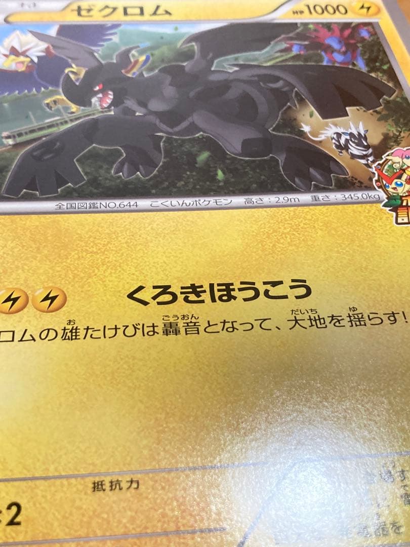 希少 ジャンボカード ゼクロム jr北海道 ポケモン調査隊2011 プロモ