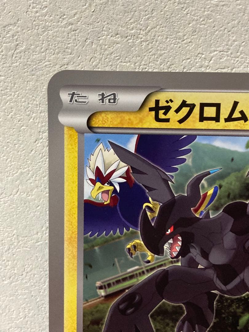 希少 ジャンボカード ゼクロム jr北海道 ポケモン調査隊2011 プロモ