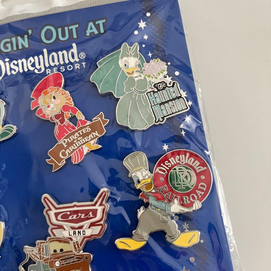 【レア】　ディズニーランドリゾート　ピンバッジ　年パス所有者限定