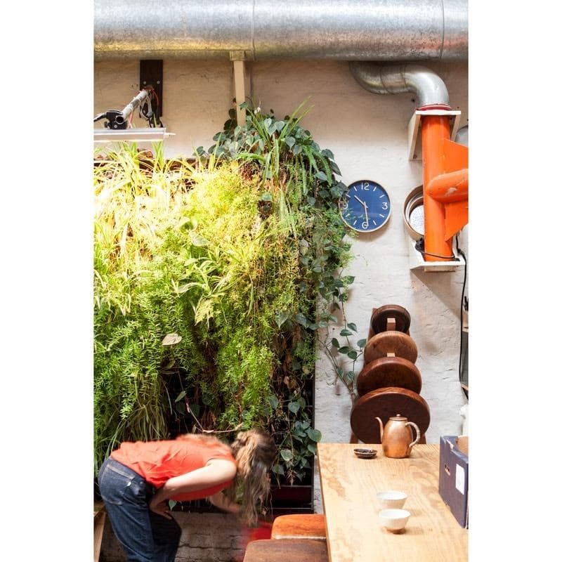 【新品・未使用】Lemnos トムソンペーパー NY18-15 BL