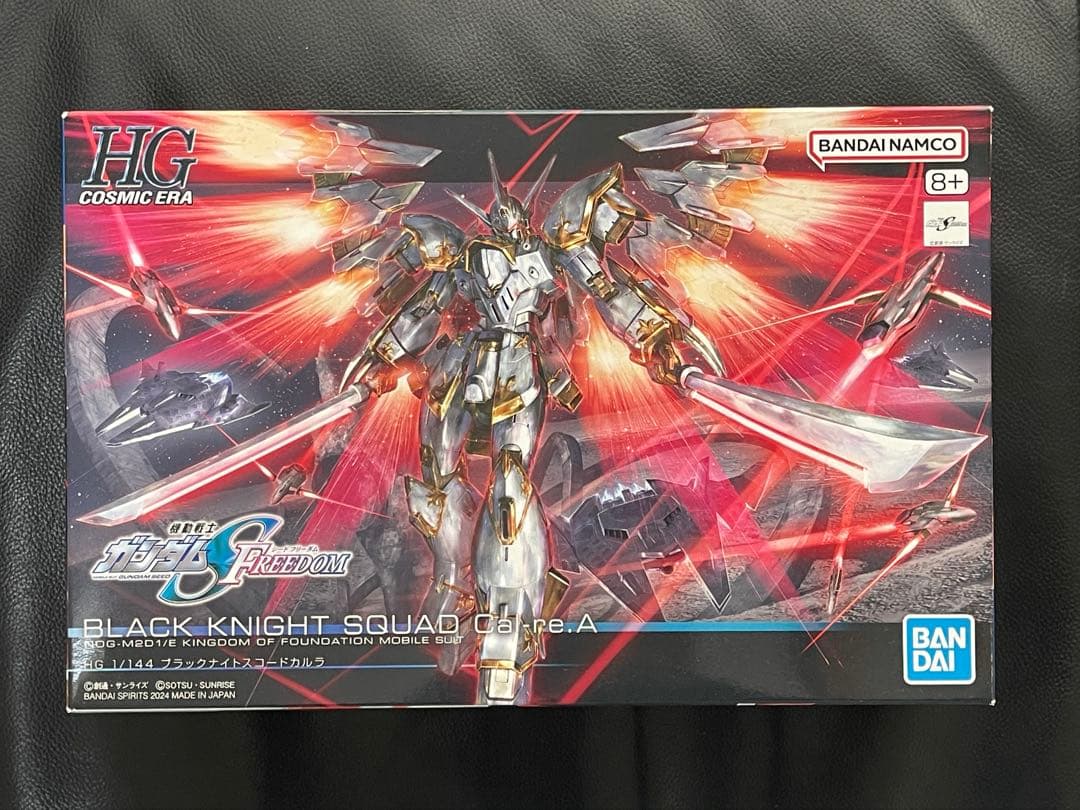 L*k様 HGブラックナイトスコード　6機セット ガンプラ「HG ブラックナイトスコードルドラ リデラード機＆ダニエル機