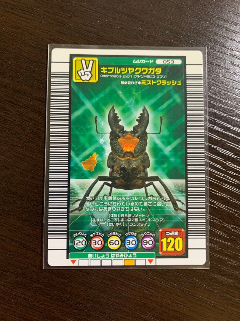 ムシキング さとう様確認用 ムシキング さとう様確認用 Amazon.co.jp