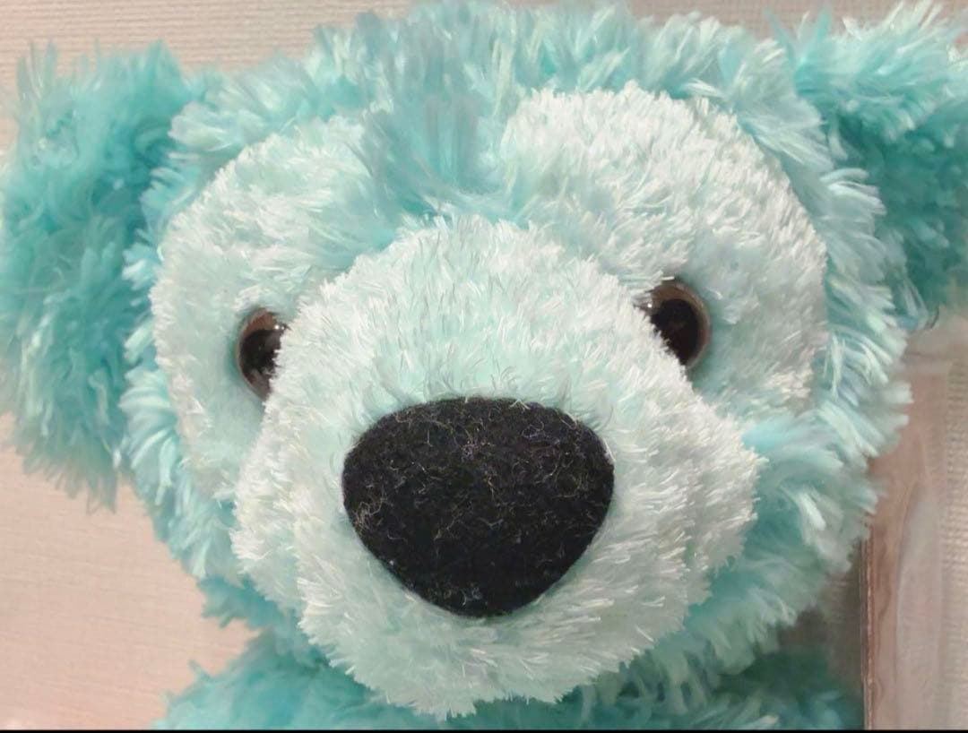 WDW ダッフィー ディズニーベア カラーダッフィー ミント