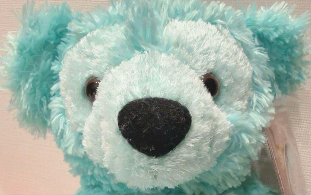 WDW ダッフィー ディズニーベア カラーダッフィー ミント