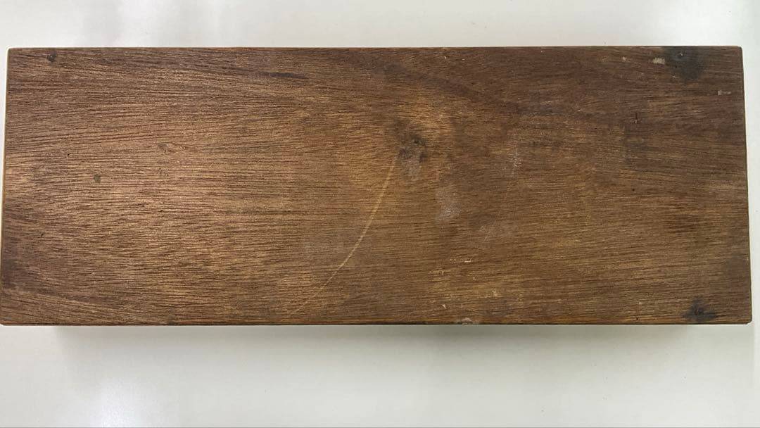 示準化石模型 5種セット 三葉虫 羊歯植物 床板さんご アンモナイトサメの