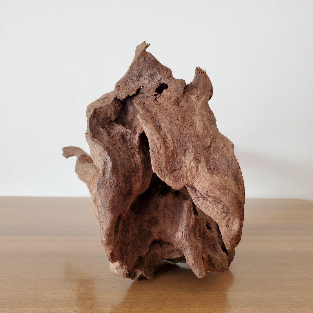 353】流木 インテリアや爬虫類などに 止まり木 アクアリウム