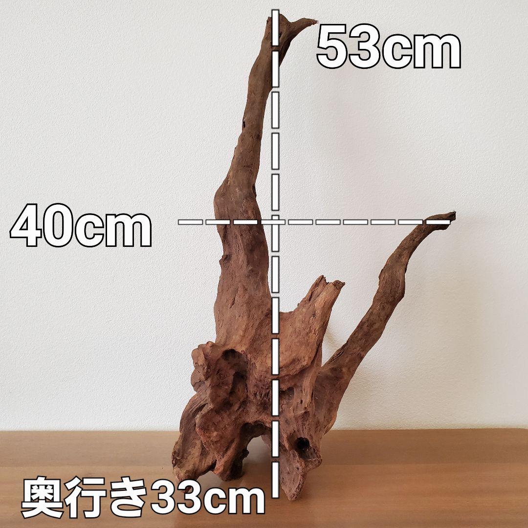 353】流木 インテリアや爬虫類などに 止まり木 アクアリウム