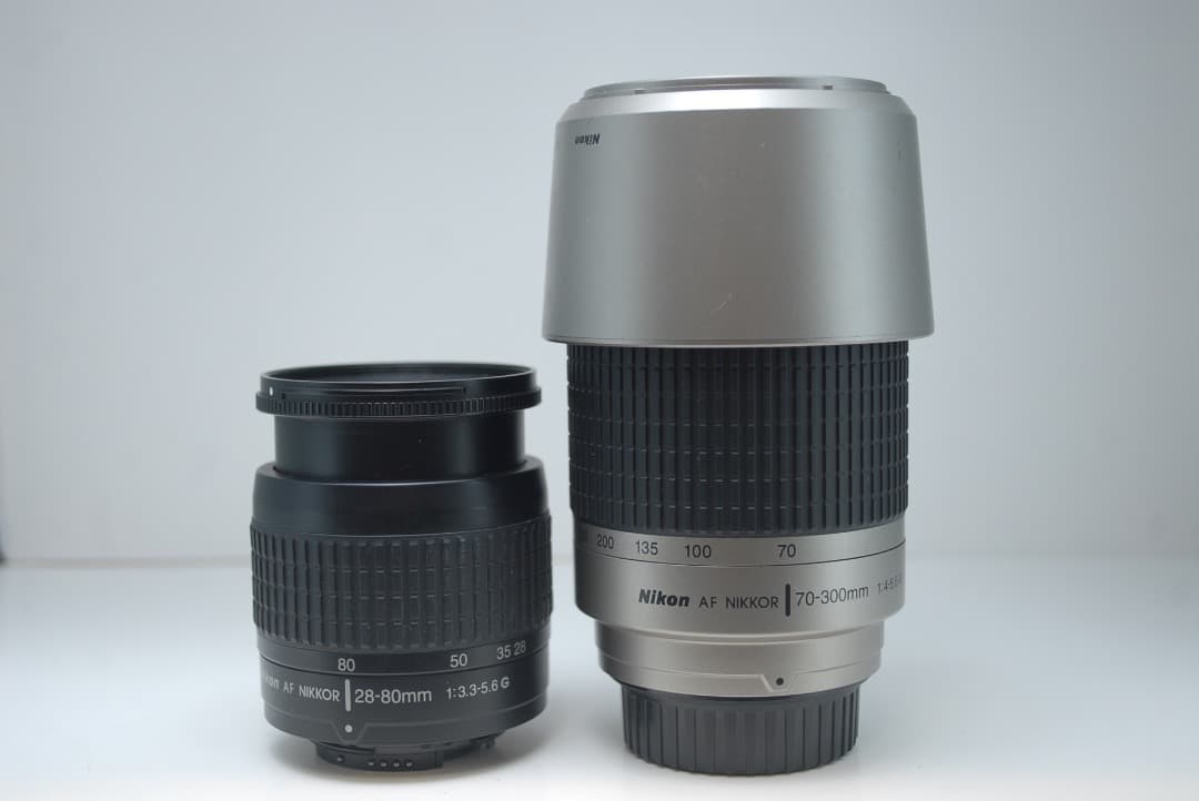 ✨近距離も遠距離も撮影可✨Nikon D50ダブルセット 初心者必見！