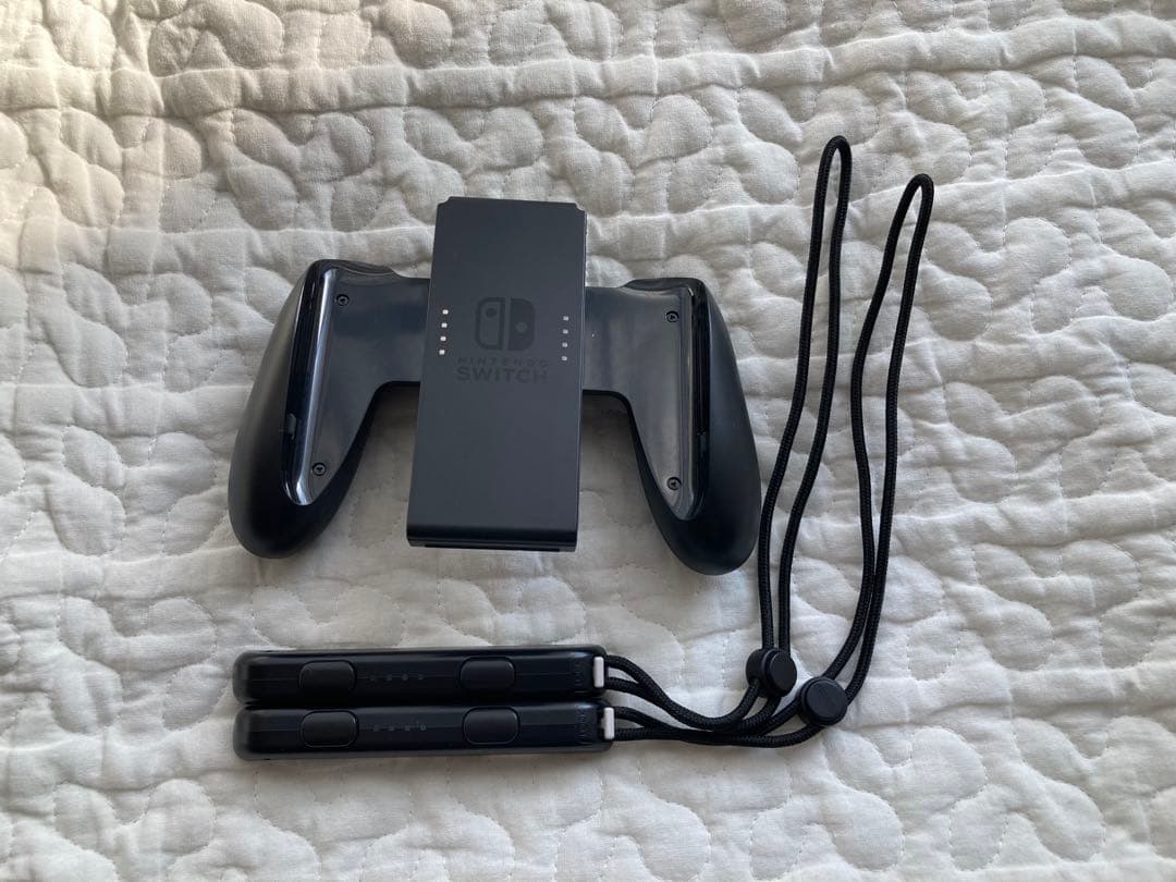 Nintendo Switch グレー 本体とケース