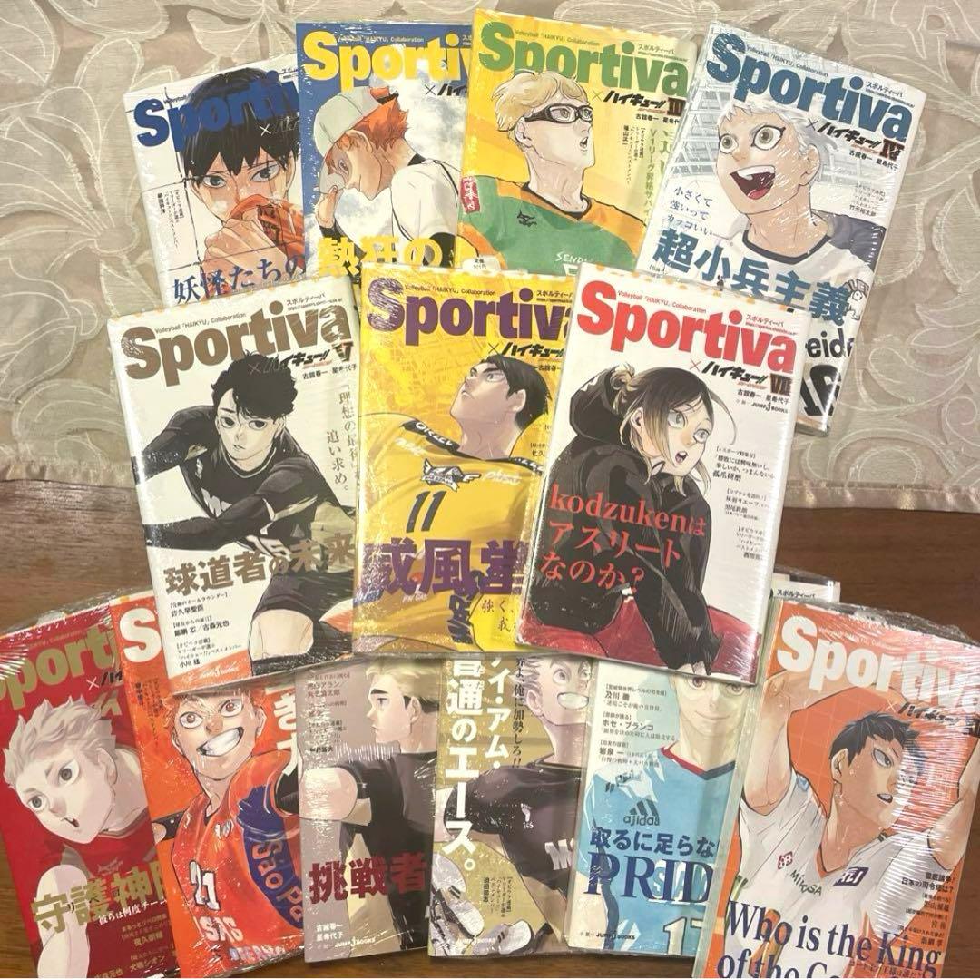 ハイキュー クリアファイル 下敷き ショーセツバン ジャンプフェスタ