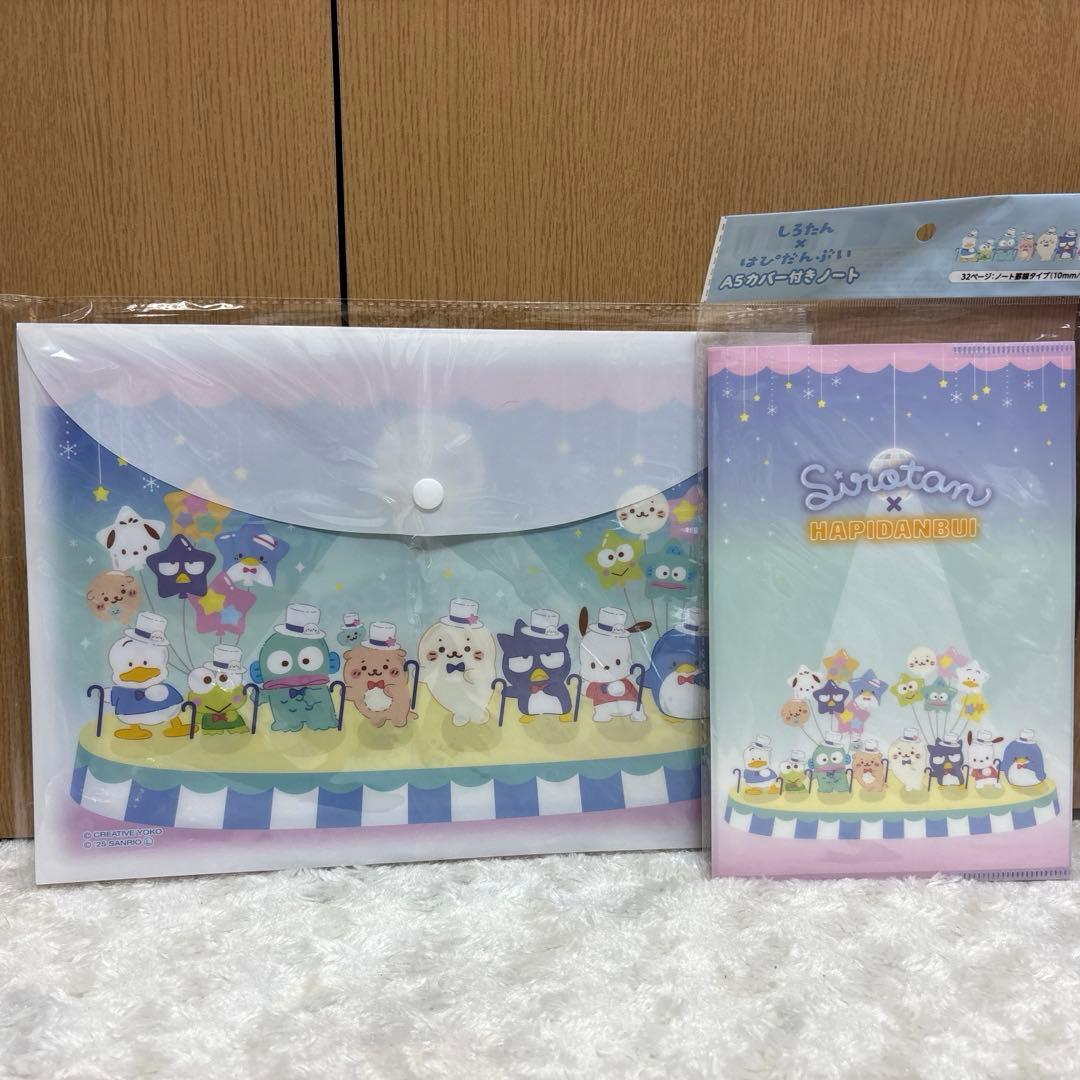 ゆうパケットポスト詰め放題2