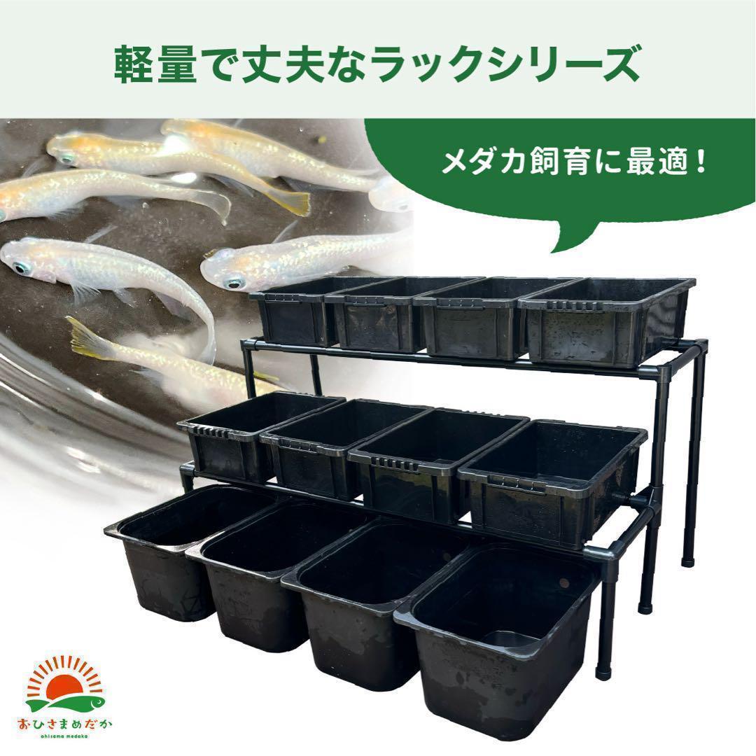 SALE☆メダカ飼育ラック白2段12個置き☆ めだか飼育棚NVBOX